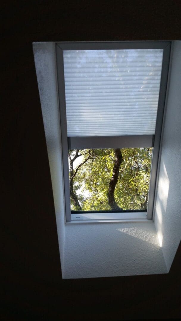 A window with blinds open and trees in the background.