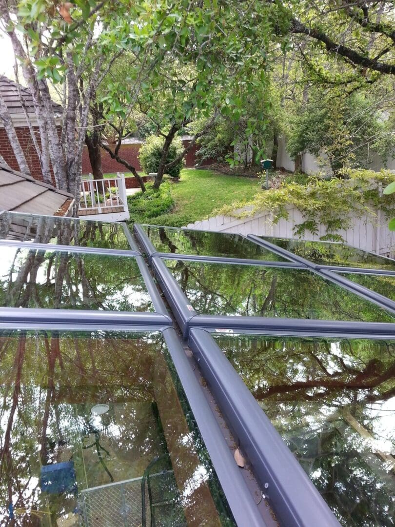 A view of trees and a house from the ground up.