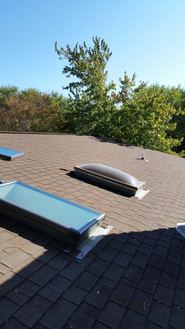 A roof with three skylights and trees in the background.